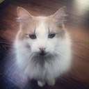 Alan Barrier - @Jeff5st - Twitter