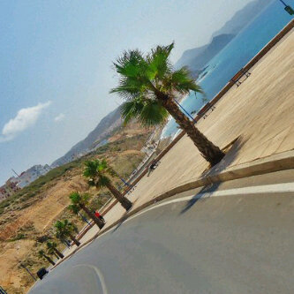 Miszviera's profile picture. i'm Maybe Young But i'm Ready33