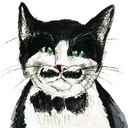 Petit Louis - @PetitLouis13 - Twitter