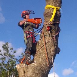 Total tree care, & stump removal specialists covering South Devon. Fully qualified & insured. Contact Wayne Johnson, NcArb, for friendly professional service.