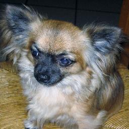 fabienne8307's profile picture. 