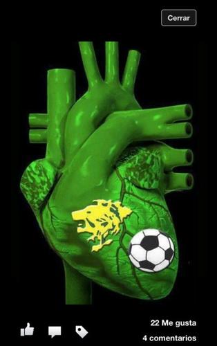 Lion's Heart