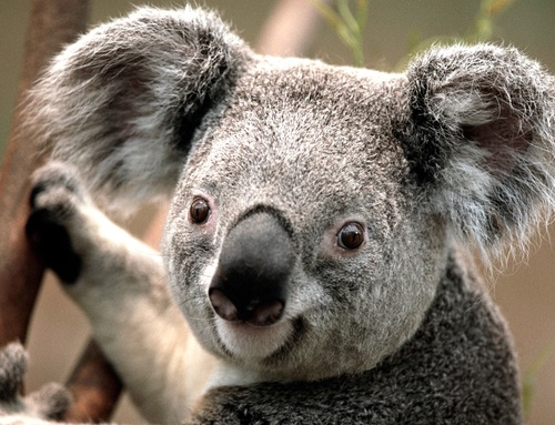 gramgrim21's profile picture. I knw u, u dun knw me. we r happy familie!