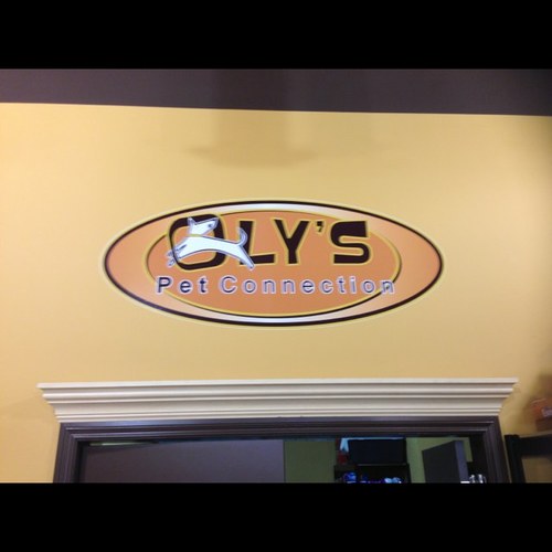 Kirk Oly's- Associate NSM Sports Management