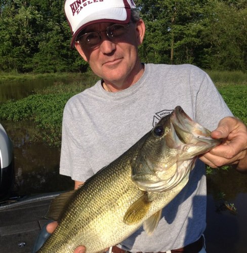 deadboltgt's profile picture. 