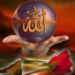 Ya Rabbim Bizleri Doğru Yoldan Ayırma
05464812567