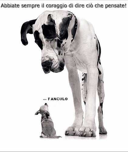 denver72201328's profile picture. 