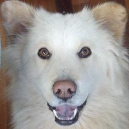 ithakasummer's profile picture. 