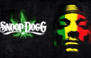 WeedTokers's profile picture. If you aint chokin' you aint tokin'