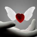 soozi hafez (@11Hafez) Twitter
