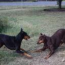 Tish King - @ktish56 - Twitter