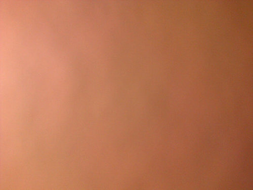 GForcy's profile picture. 