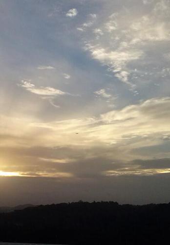 monicacornejor's profile picture. 