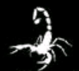  مـو كل من سموه رجآل صآر رجآل .. تـرآ كلمة آلطيـر تـجمع آلصقر ۆآلدجآجة