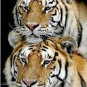 joan abel gobea zapa - @JoanZapataj - Twitter