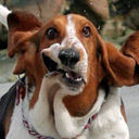 Ursula Owens - @UrsulaO92302467 - Twitter