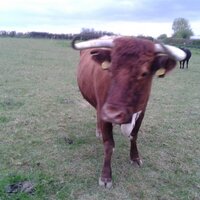 Keith Head (@keith3345) 's Twitter Profile