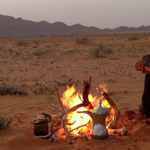 الإنسان لا لحمه يؤكل .. ولا جلده يلبس .. فماذا فيه غير حلاوة اللسان..