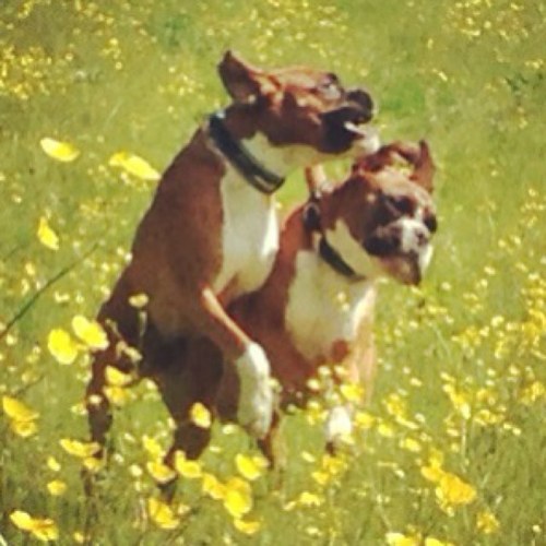 JanetLongley1's profile picture. 