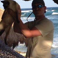 Brad Roberson (@b_rad75) 's Twitter Profile