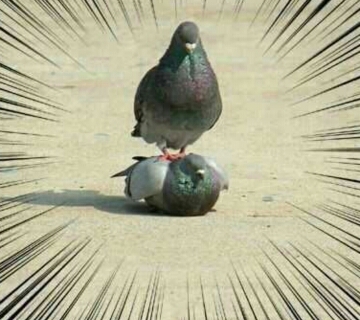 오각흐영さんのプロフィール画像