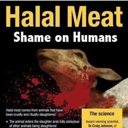 Exposing the horrific brutality of ritual slaughter.