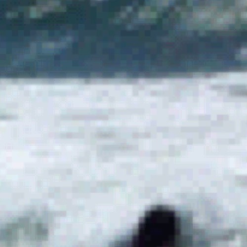 malbert_bl's profile picture. Chico alegre, dedicado, de mente abierta al que le gusta enfrentar cualquier reto de la vida. y preocupado por terminar la universidad