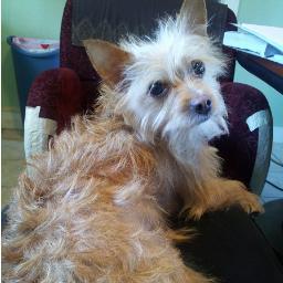 under_toad's profile picture. 