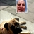 912_steve's profile image