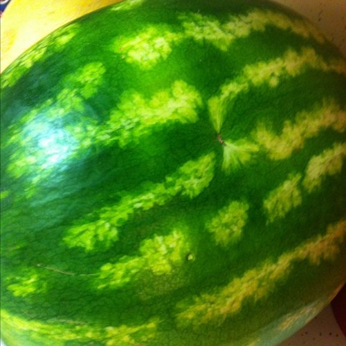 jivey1944's profile picture. 