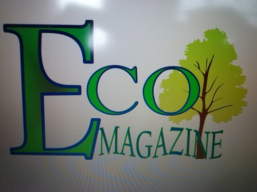 ecomagazine15's profile picture. 