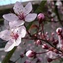 sonya torres - @sonyat484 - Twitter