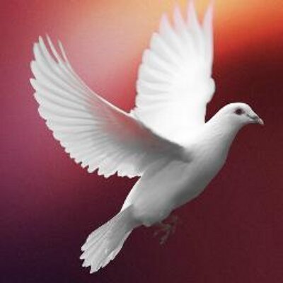 T.A. Espíritu Santo (@Conocerte_Dios) | Twitter