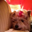 ray jarman - @rj275363 - Twitter