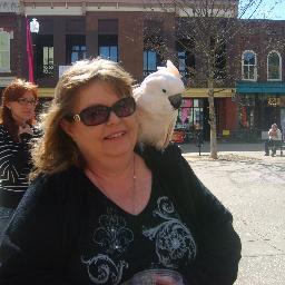 languagedabbler's profile picture. 