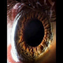 د. - @Dee_doss33 - Twitter