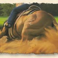 Barrel Racing is the greatest thing in life. But everyones gotta complain a little.(;