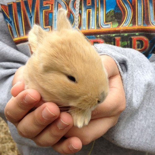 emrobr's profile picture. 