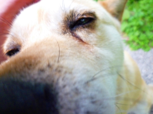 sanpei23's profile picture. 紹介欄何年ぶりに変えたかな??ダイエットサボって更年期中w♀てっ面倒臭いね…