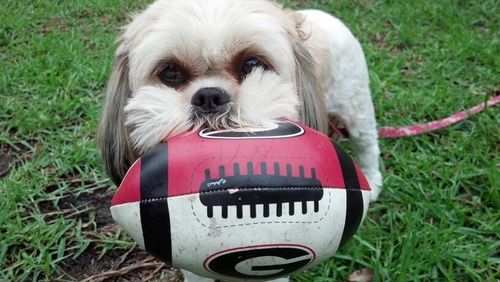 kclee6's profile picture. 