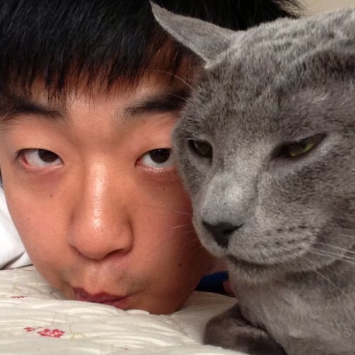 음악과 고양이를 좋아하는 평범한 사람. 모바일플랫폼 개발 및 증강현실에 관심있어요