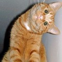 kendall gibson  - @_kenjy - Twitter