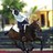 PoloPonyRep's profile image