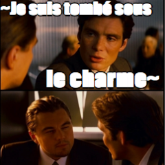 wernickesstage's profile picture. Determined to learn languages