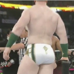 Sheamus has a great Arse! :P