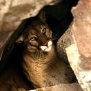 Logan Curtis - @adventure47 - Twitter