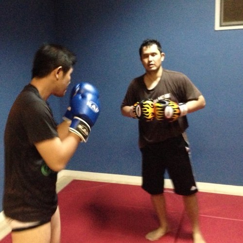 martial artist, helping people overcome obstacles through martial arts experience.