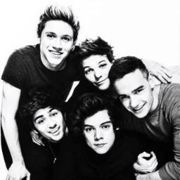 Hi.. i love One Direction.. Niall Horan, Harry Styles, Zayn Malik, Louis Tomlinson and Liam Payne would follow me. follow? i follow back!