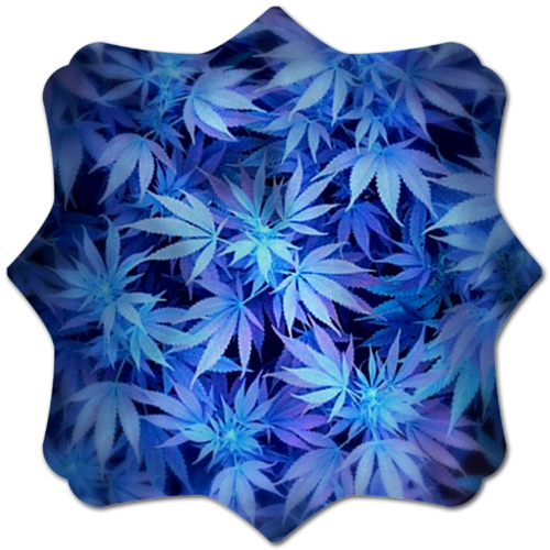 m▲r▼j▲n■   l♂v■r