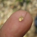 Dave Forest - @piercepoints - Twitter